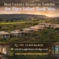 Best Luxury Resort In Tadoba For Tiger Safari &ndash; Book Now