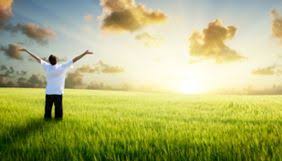 Vienna, Job Seekers, Reconstruct Your Identity And Thrive In A Global World ONLINE