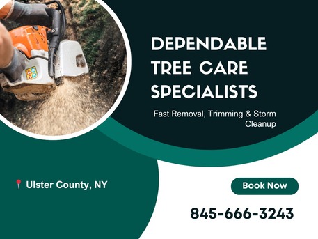 New York, Business, New Paltz Tree Service