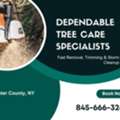 New Paltz Tree Service