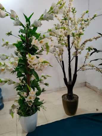 Riyadh, Household Items, SAR 3000,  House Hold Items For Sale ((Furniture, Split AC, Fridge, Computer Table Etc.,