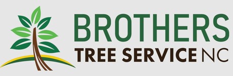 New York, Business, Brothers Tree Service NC, LLC
