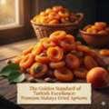The Golden Standard Of Turkish Excellence - Premium Malatya Dried Apricots