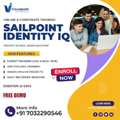 Sailpoint Identity IQ | Sailpoint Training In Hyderabad
