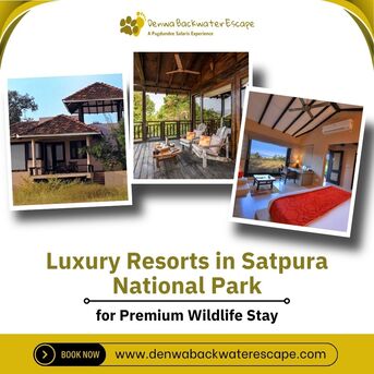 Bhopal, Travel, Luxury Resorts In Satpura National Park For Premium Wildlife Stay