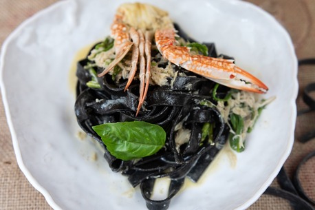 San José, Travel, Hvar Experiences