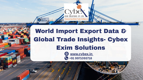 Noida, Business Partners, World Import Export Data & Global Trade Insights | Cybex Exim Solutions