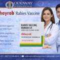 PHP 100,  Bulk Supply Of Abhayrab Vaccine Available For Hospitals & Clinics