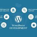 Grow Your Business With Expert WordPress Development In Singapore