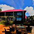 Budget Hotels In Narkanda