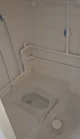 Khobar, Shops, SAR 18000,  Bachalor Flat For Rent At Khobar Shamaliya