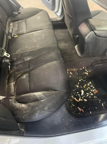 New York, Automotive, Bogarts Auto Detail