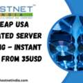 Cheap USA Dedicated Server Hosting - Instant Setup From 35usd