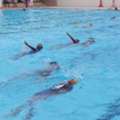 Professional Swimming Classes Singapore &ndash; Expert Coaching For All Levels