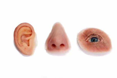 Miami, Dental, Maxillofacial Prosthodontics In Miami - Sharp Dentistry