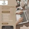 Professional SEO Audit USA