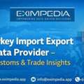 Turkey Import Export Data Provider &ndash; Customs & Trade Insights