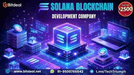 Paris, Business, Turn Your Web3 Idea Into Reality With Solana Blockchain Development &ndash; From $2500