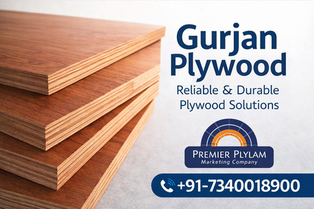 Jaipur, Business, Premier Plylam &ndash; Leading Marketing Company For Gurjan Plywood