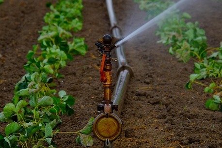 Miami, Farm/Garden, Commercial Backflow Preventer Installation Services