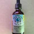 Full-Spectrum Herbal Tinctures