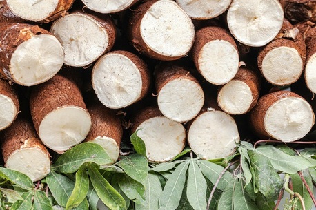 Sydney, Business, PETABITE PTY LTD