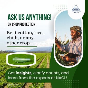 Hyderabad, Farm & Garden, INR 500,  India&rsquo;s Top Pesticide Companies For Farmers | Agrochemicals