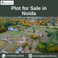 Plot For Sale In Noida &ndash; Prime Location, High Returns