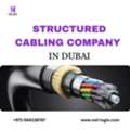 Expert Structured Cabling Company In Dubai For Scalable Connectivity