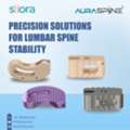 Precision Solutions For Lumbar Spine Stability