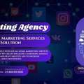Social Media Marketing Services | Digital Hub Solution