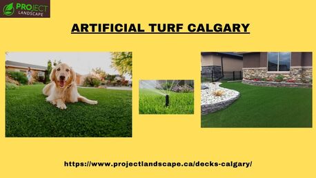 Calgary, Real Estate, Why Your Property Needs The Most Low-maintenance Artificial Turf In Calgary