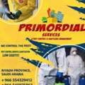 Pest Control Service(low Cost)