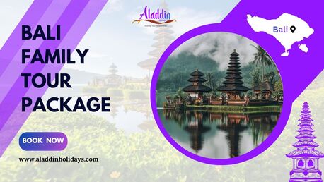 Chennai, Tickets, INR 45000,  What Is The Best Time To Visit Bali With Family?