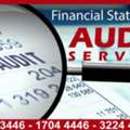 Financial Statement Audit Service