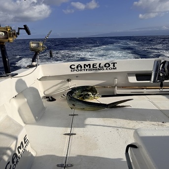 New York, Business, Camelot Kona Fishing Charters Sport HI