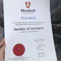 How To Get A Fake Murdoch University Degree With Transcript Online?