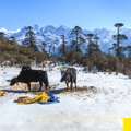 Customized North Sikkim Package Tour From Mumbai