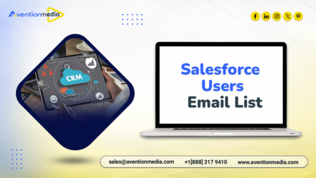New York, Businesses For Sale, Acquire A Specialized Salesforce Users Email List B2B List For Your Campaigns