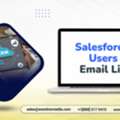 Acquire A Specialized Salesforce Users Email List B2B List For Your Campaigns