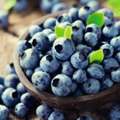 Premium Frozen Blueberries For Sale