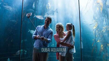 Dubai, Travel, Complete Visitor Guide To Dubai Aquarium And Underwater Zoo Tickets, Prices & Experiences