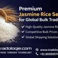 INR 2,  Premium Jasmine Rice Seller For Global Bulk Trade