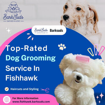 New York, Pet Sitting, Convenient Dog Grooming Services In Fishhawk