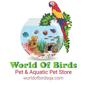 Doha, Pet Sitting, World Of Birds