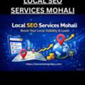 Grow Your Business With Expert Local SEO Services In Mohali