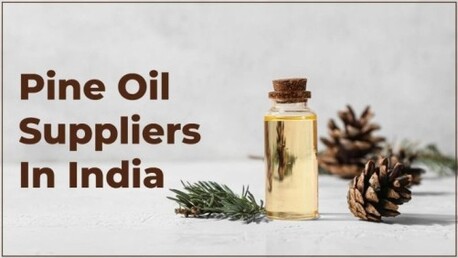 Mumbai, Business, Pine Oil Suppliers In India | Manish Minerals And Chemicals