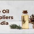 Pine Oil Suppliers In India | Manish Minerals And Chemicals