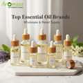 Top Essential Oil Brands | Premium & Pure Natural Essential Oils Supplier