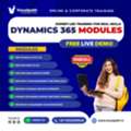 Professional Microsoft Dynamics 365 Training Program